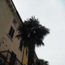 sdc12852.jpg