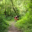 dsc04545.jpg