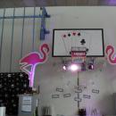 sdc12647.jpg