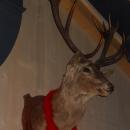 sdc12243.jpg