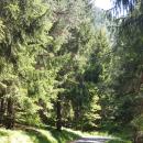 20150620_154107.jpg